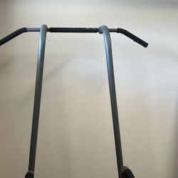 Pull Up / Dip Exercise Equipment 