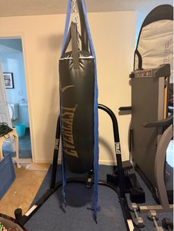Heavy bag/ speed bag combo