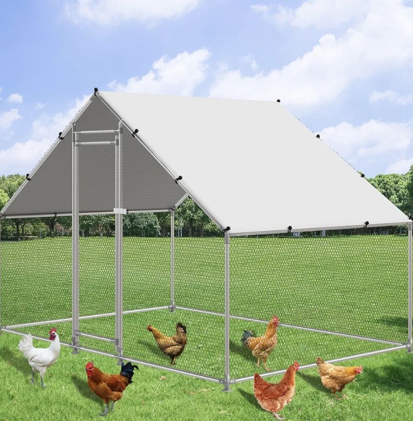chicken run brand new in box
