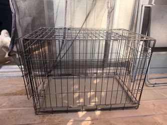 Kennel