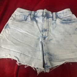 Wild Fable Shorts
