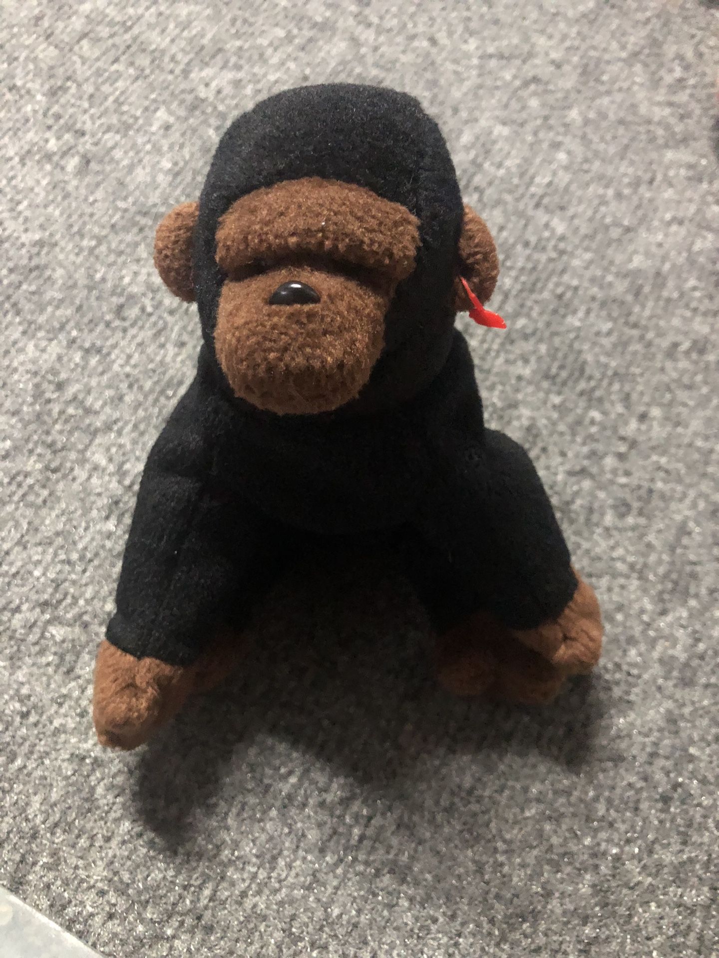 TY “Congo” Beanie Baby