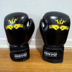 🥊 Brand New Feikuqi Boxing Gloves – Open Box, Never Used! - $15