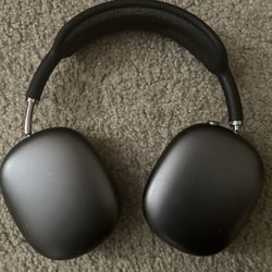 apple max headphones 