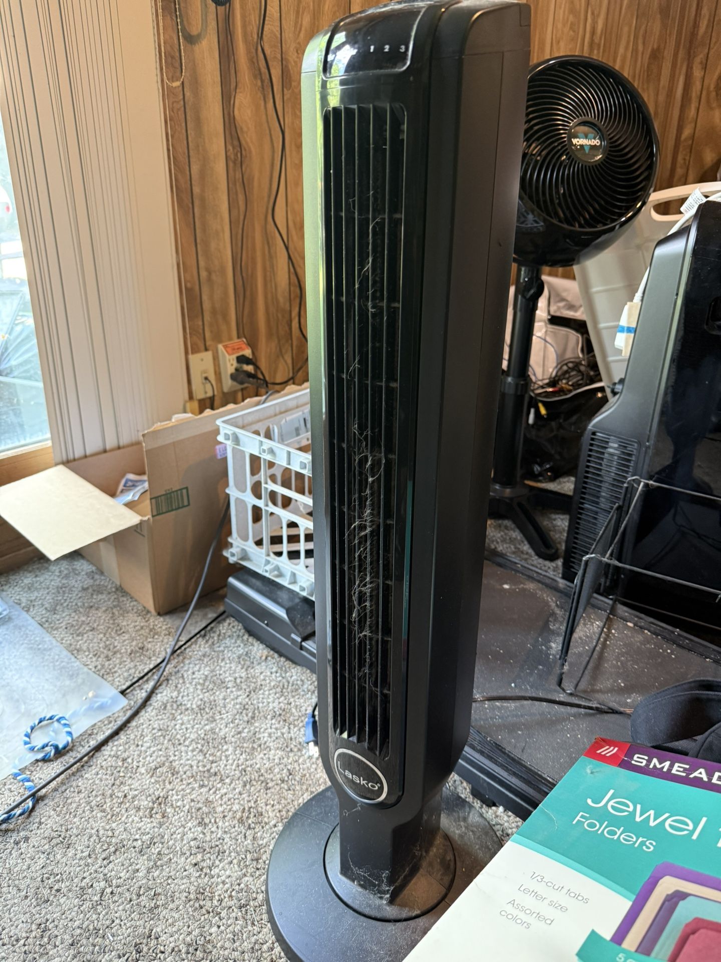 Fan. With Remote. Works Great lasko
