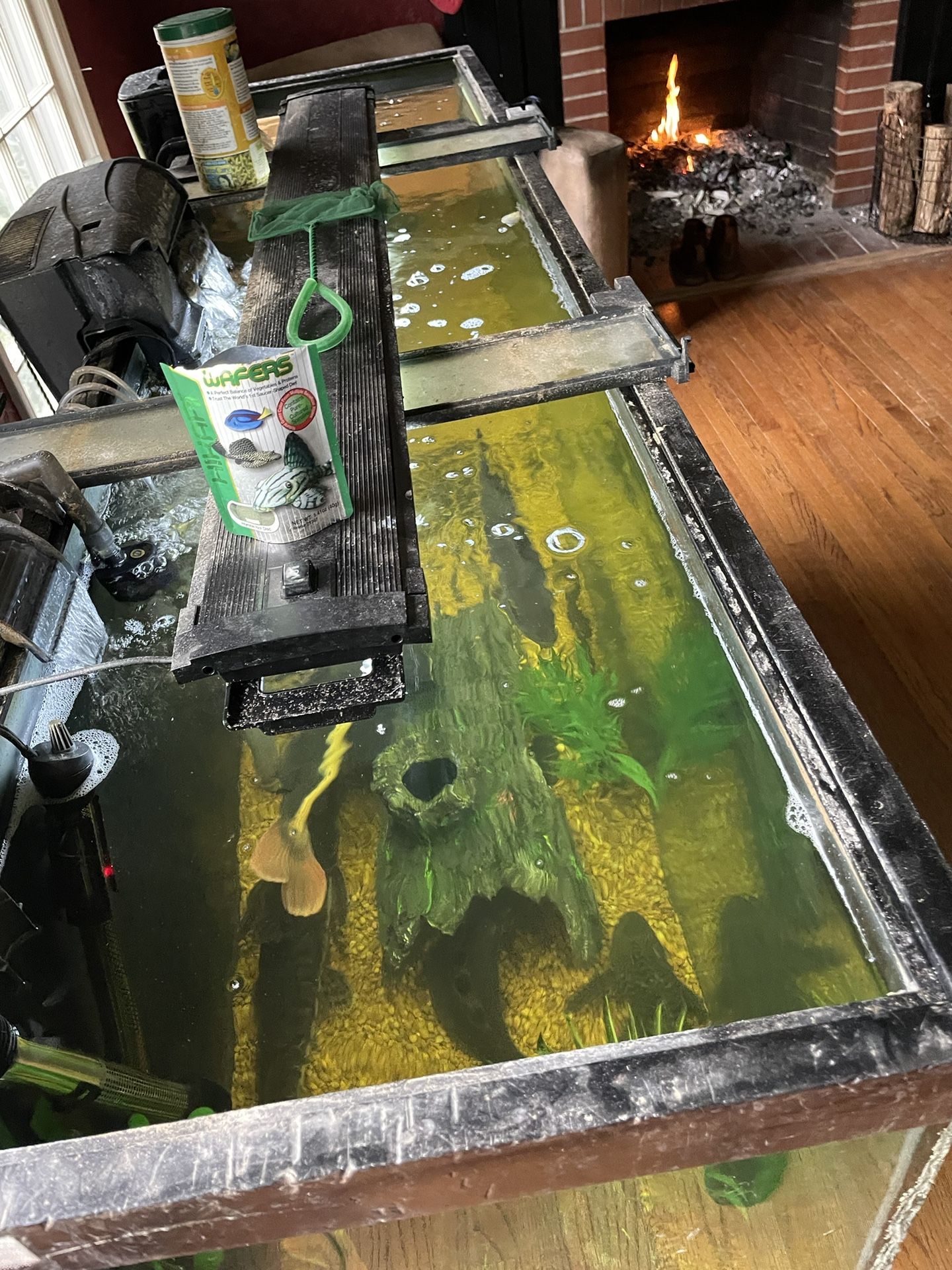 Fish Tank