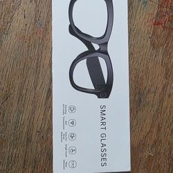 smart glasses 