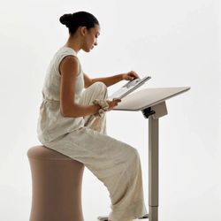 TopJob AnyDesk Nest Pro