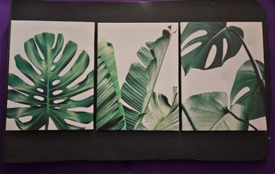 3 Paintings wall hangings plants