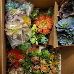 Faux Succulents 