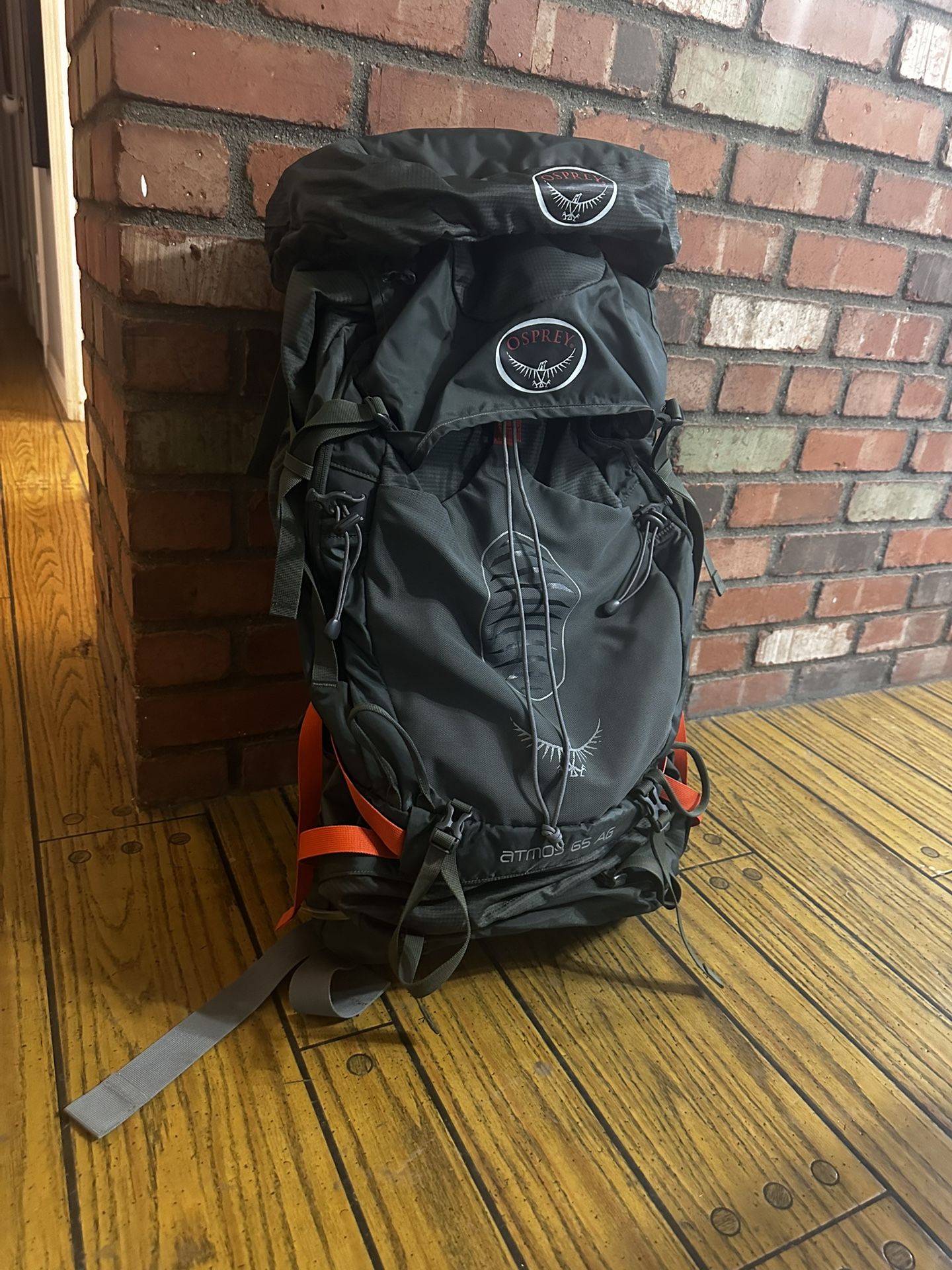Osprey Hiking Backpack