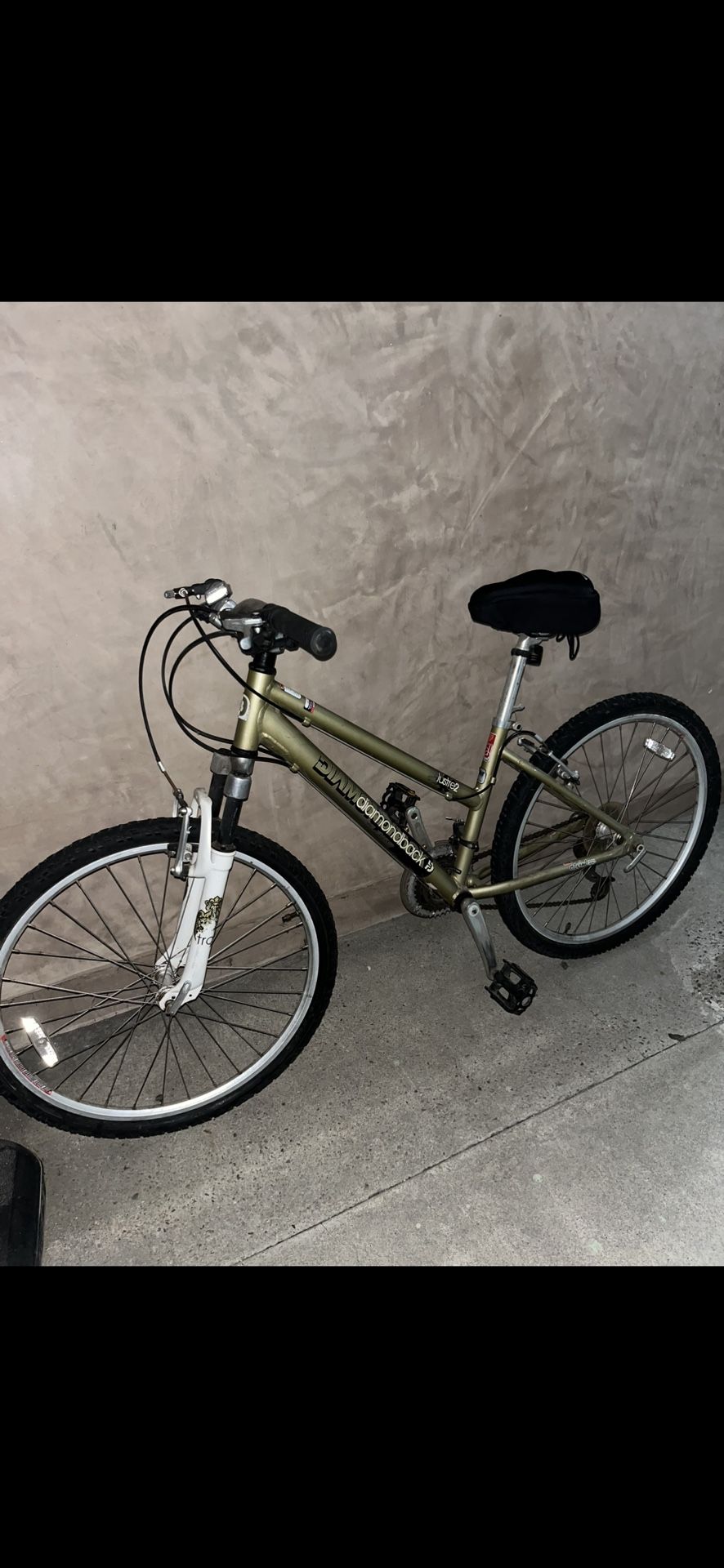Mountain Bike