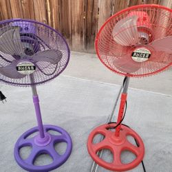 Fans