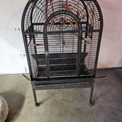 Bird Cage 