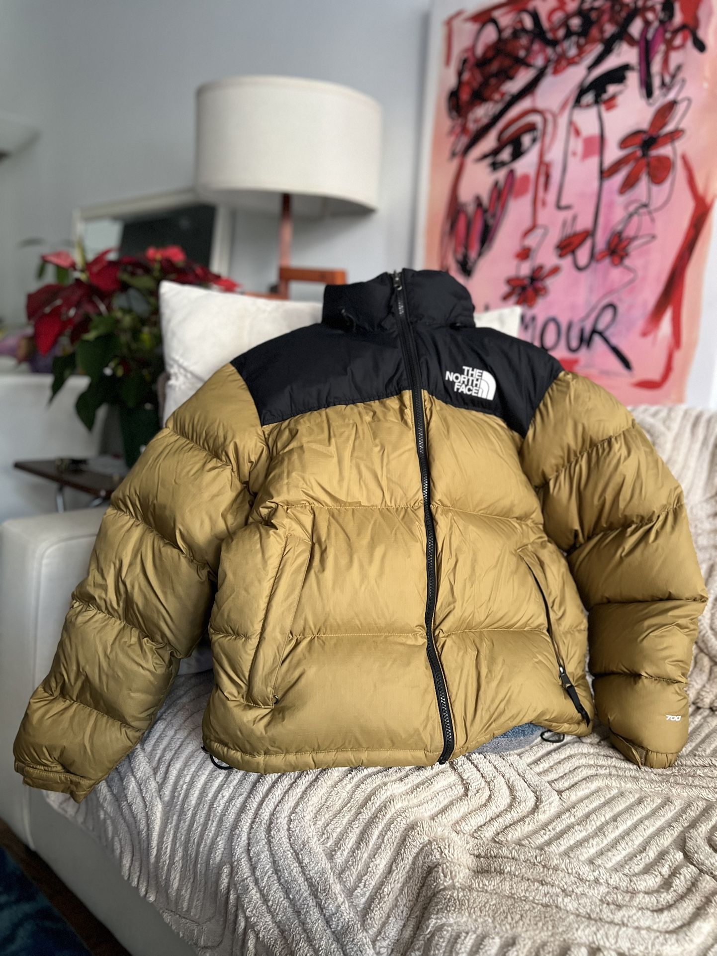 The North Face Men’s 700 Fill Power Down Jacket
