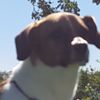 Alan