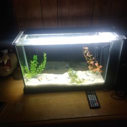 Fluval Tank