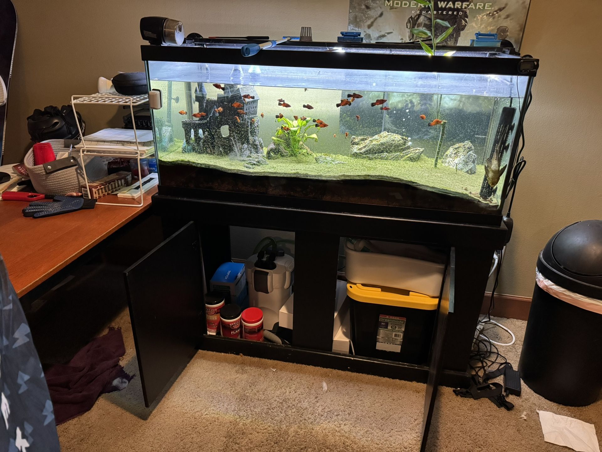 75 Gallon Fish Tank, Stand, Multi Color Light, Filter, Castle & More