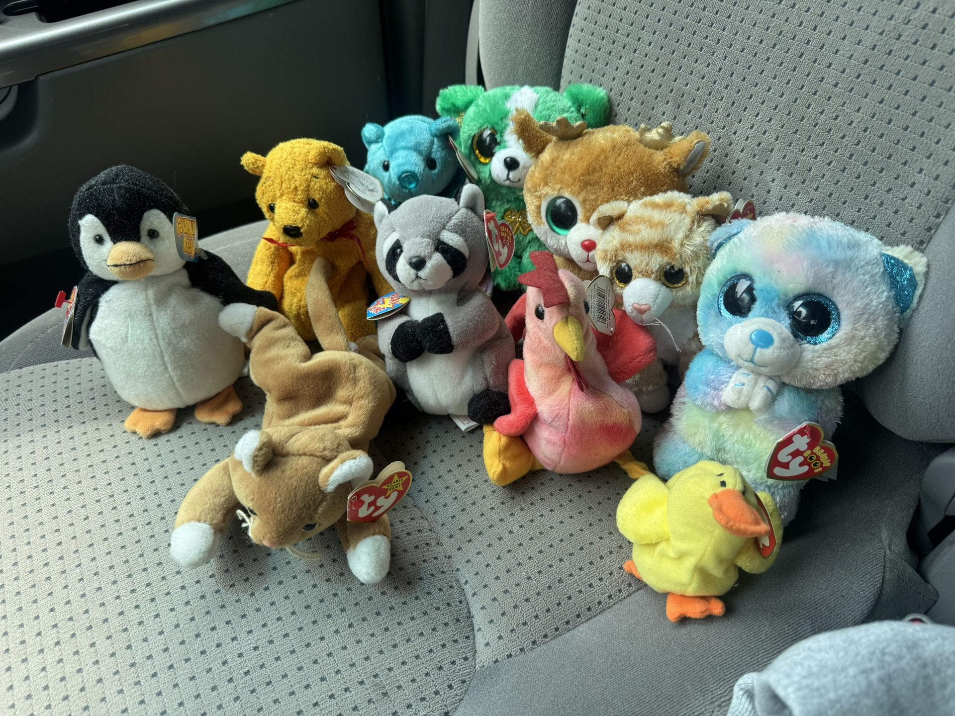 11 beanie babies with tags/Make An Offer