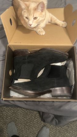 Ariat Boots