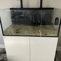 Salt Water Fish Tank 