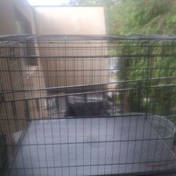 Dog Cage 