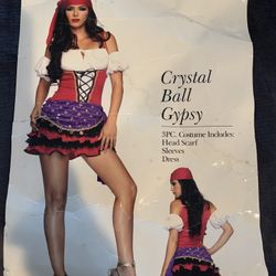 Womans Gypsy Costume 