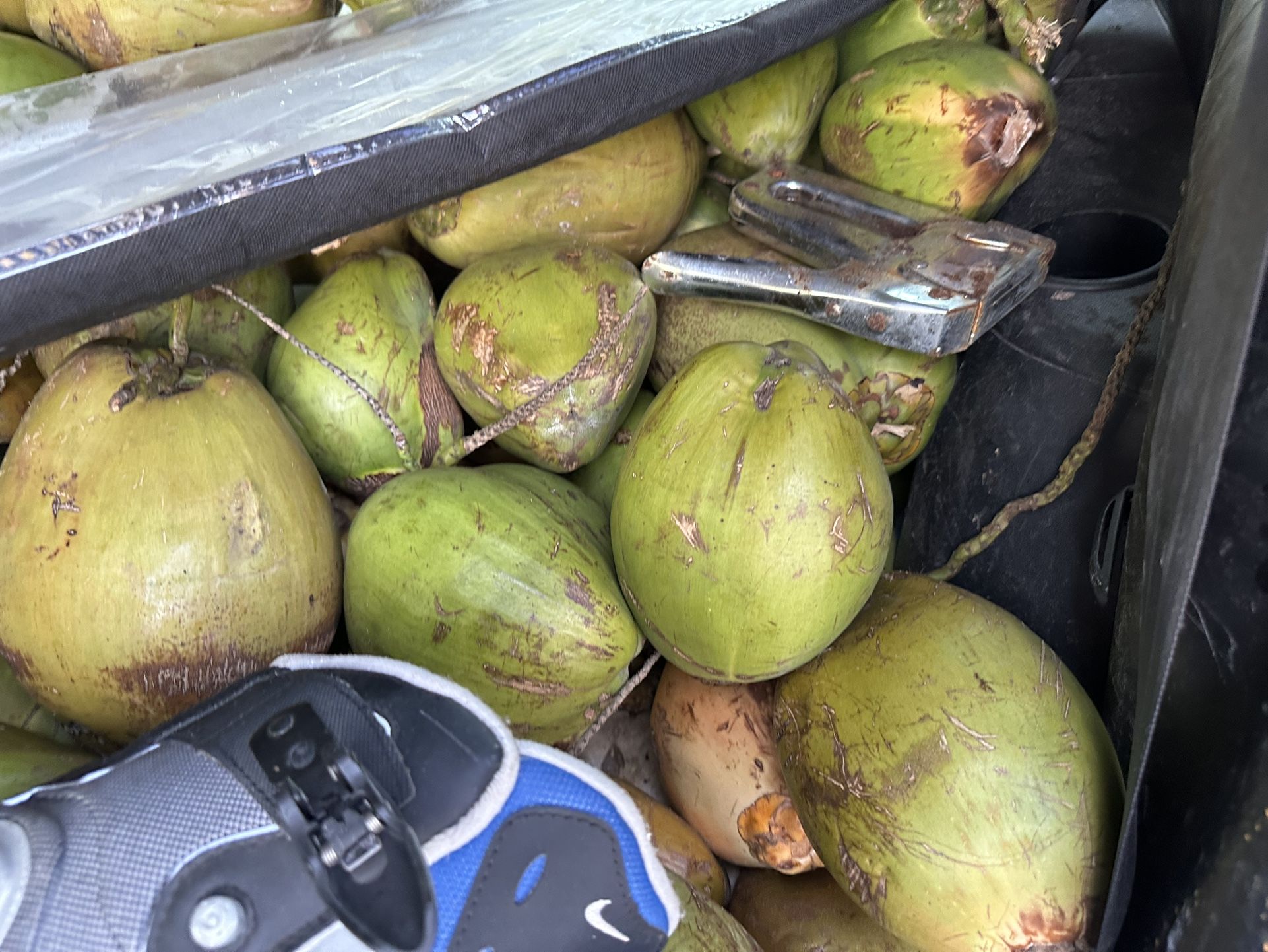 Vendo Cocos De Agua Y Carne Blanda
