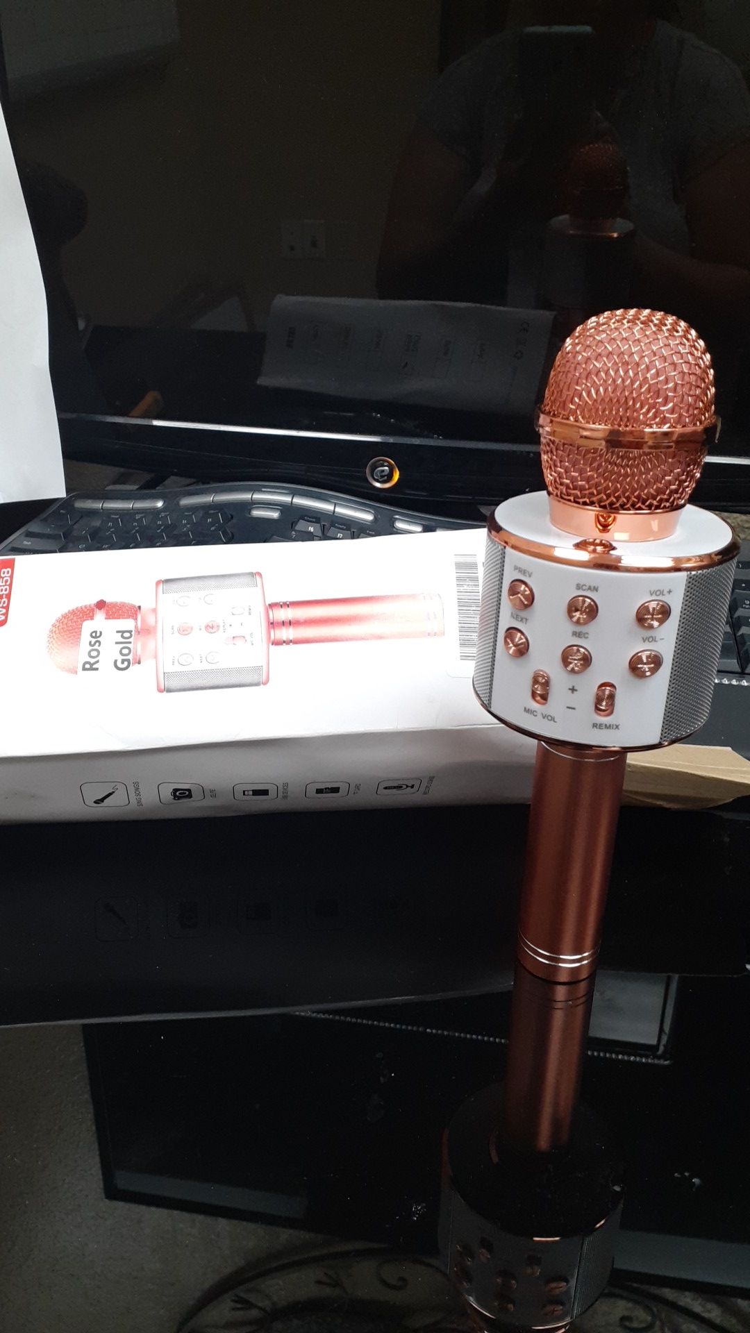 Microphone and speaker