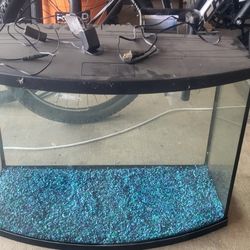 Reptile and Fish Tank
