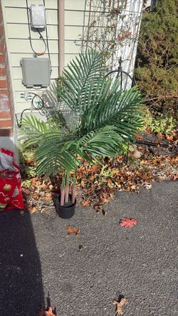 36” Tall Faux Palm