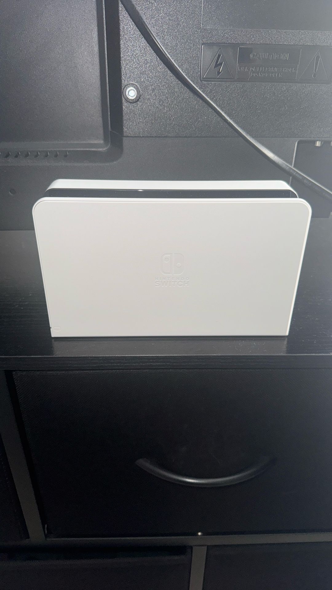 Nintendo Switch Charger