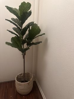 4ft Tree