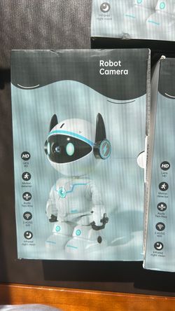 Robot camera