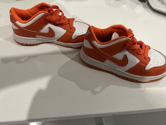 Kid Shoes Dunks 