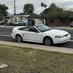 2000 Ford Mustang