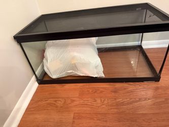 Aquarium with the lead for guinea pigs or hamsters or reptiles