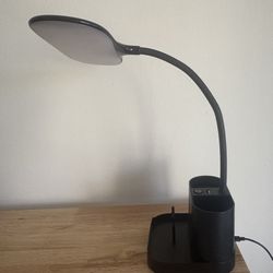 LED Desk Lamp with USB Adapter Charging