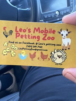 Mobile Petting Zoo Experience