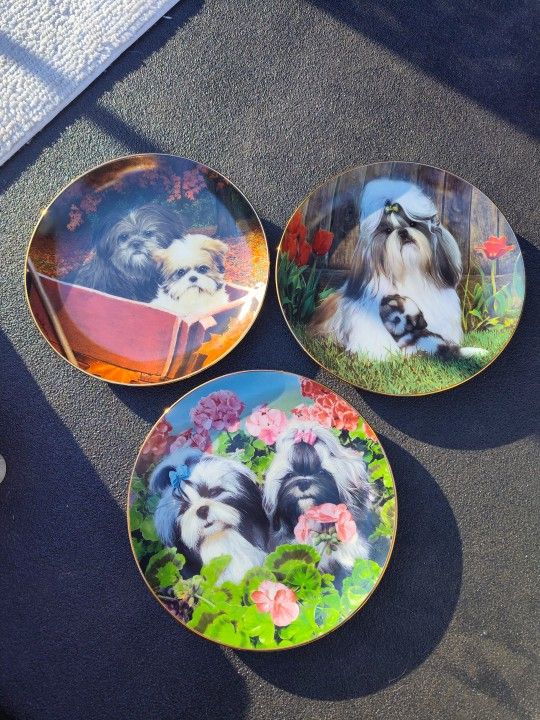Lot Of 3 Vintage Danbury Mint Collector Shih Tzu Plates