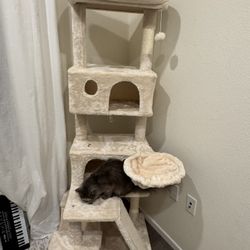 Cat House tree 