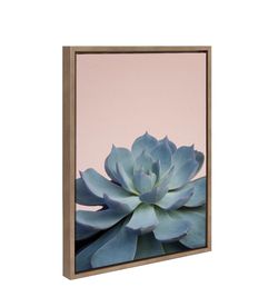 18” x 24” Sylvie succulent 10 framed canvas by F2 image gold- Kate and Laurel $45