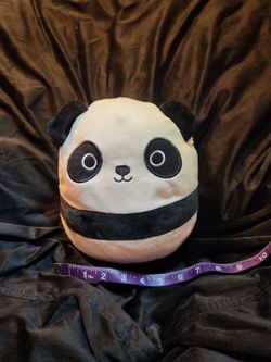8" Panda Squishmallow "Stanley"