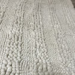 Shaggy, Absorbent Rug 