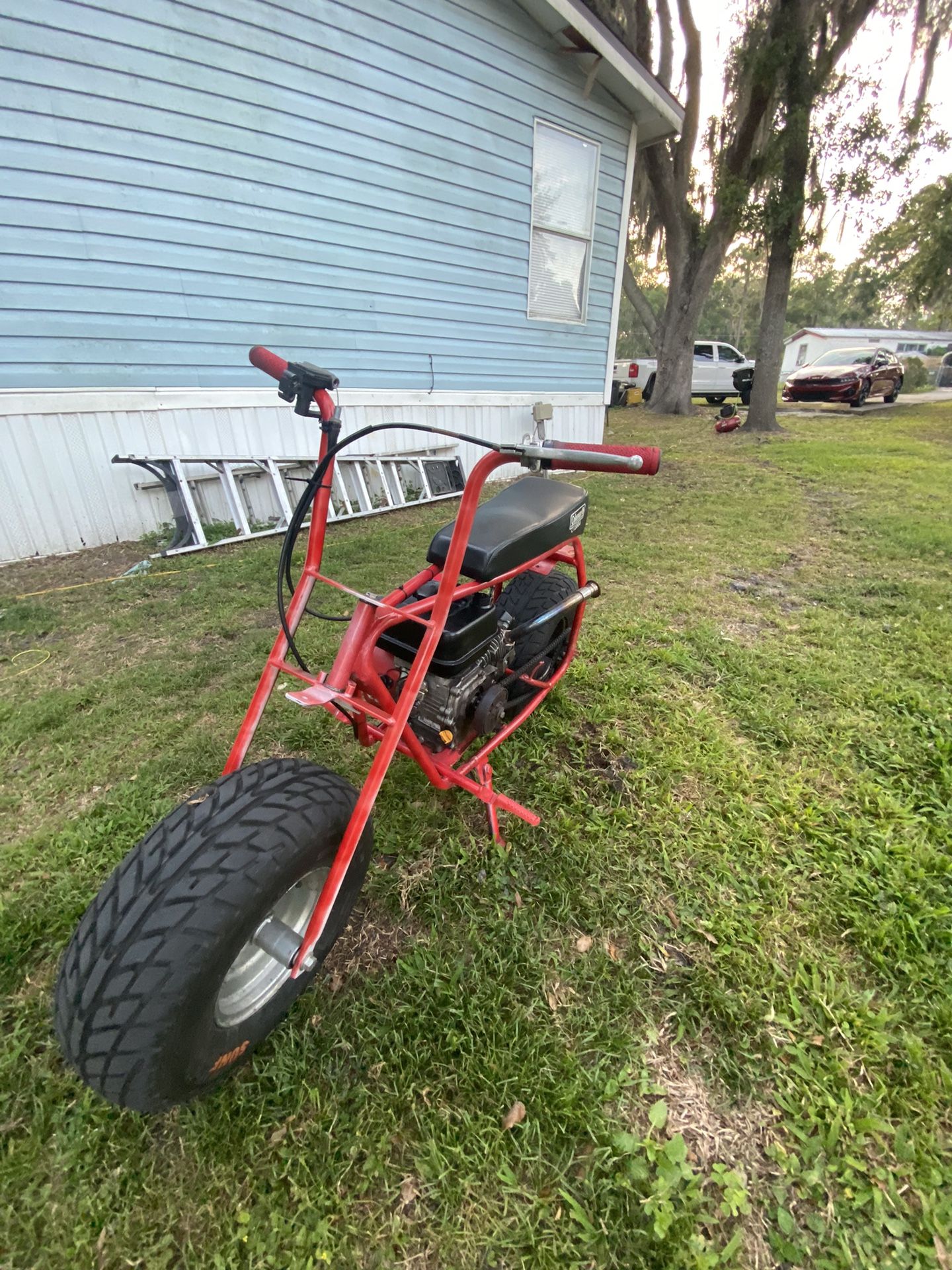 Ct200u Mini Bike 