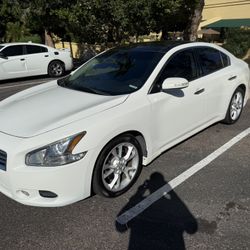 2012 Maxima Sv