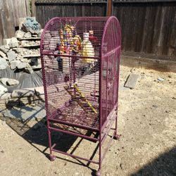 Large Iron Bird Cage 