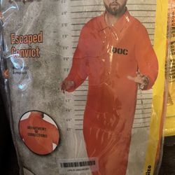 Halloween Costume 