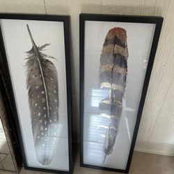 Pictures / Home Decor 