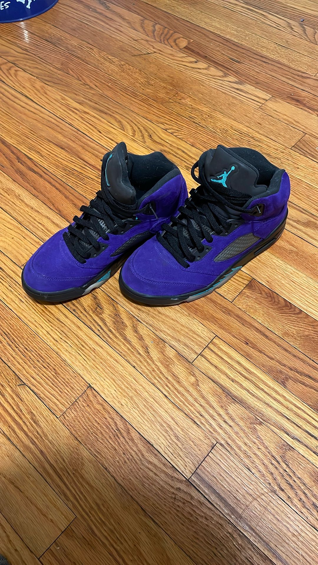 Air Jordan 5 Retro “Alternate Grape” Purple Mens 